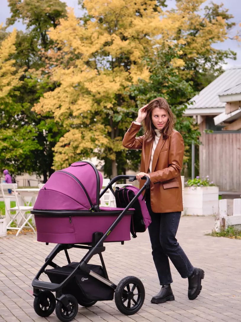 КОЛЯСКА 2 В 1 RANT AXIOM PURPLE