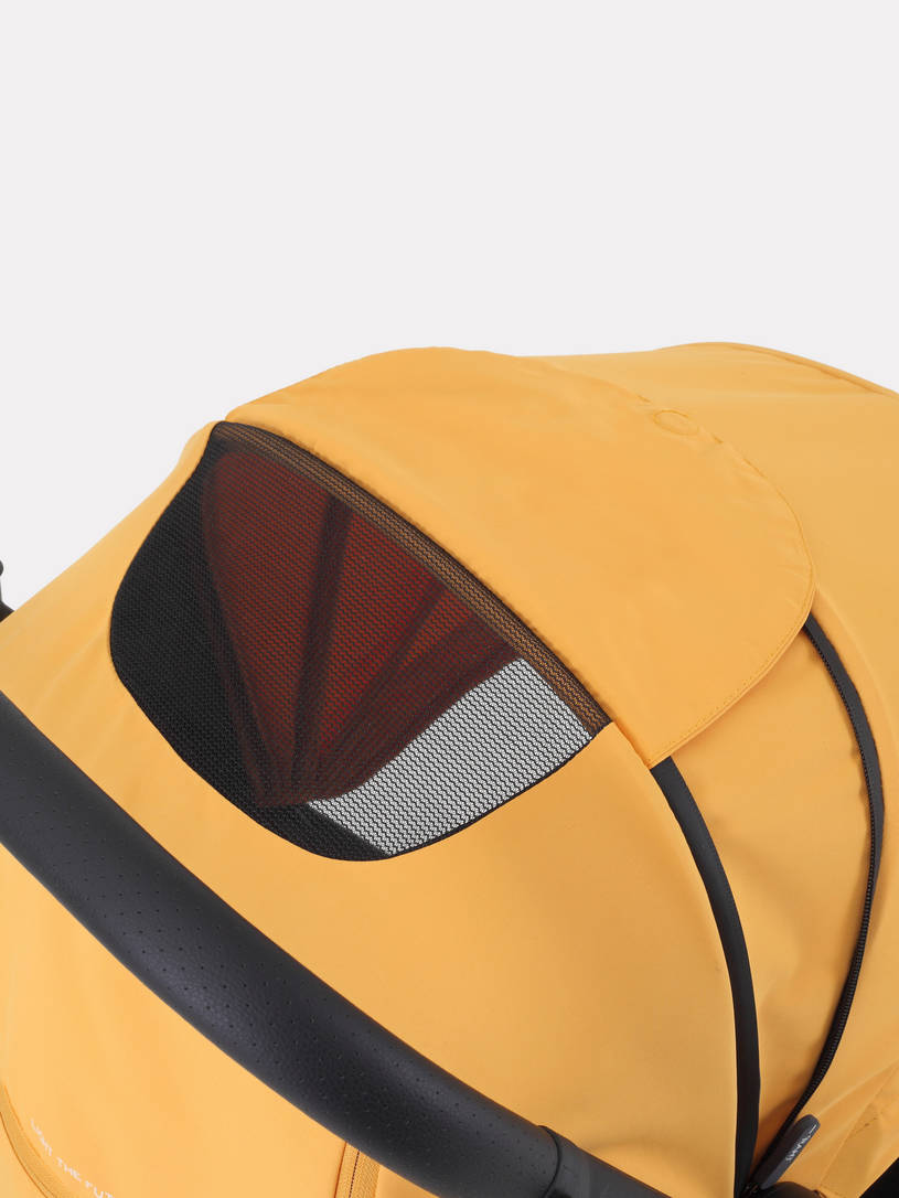 Коляска прогулочная Rant Lumos Amber yellow