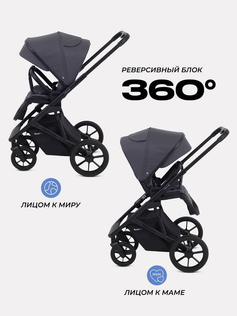 Коляска 2 в 1 Rant Basic Nexus 2025 Graphite