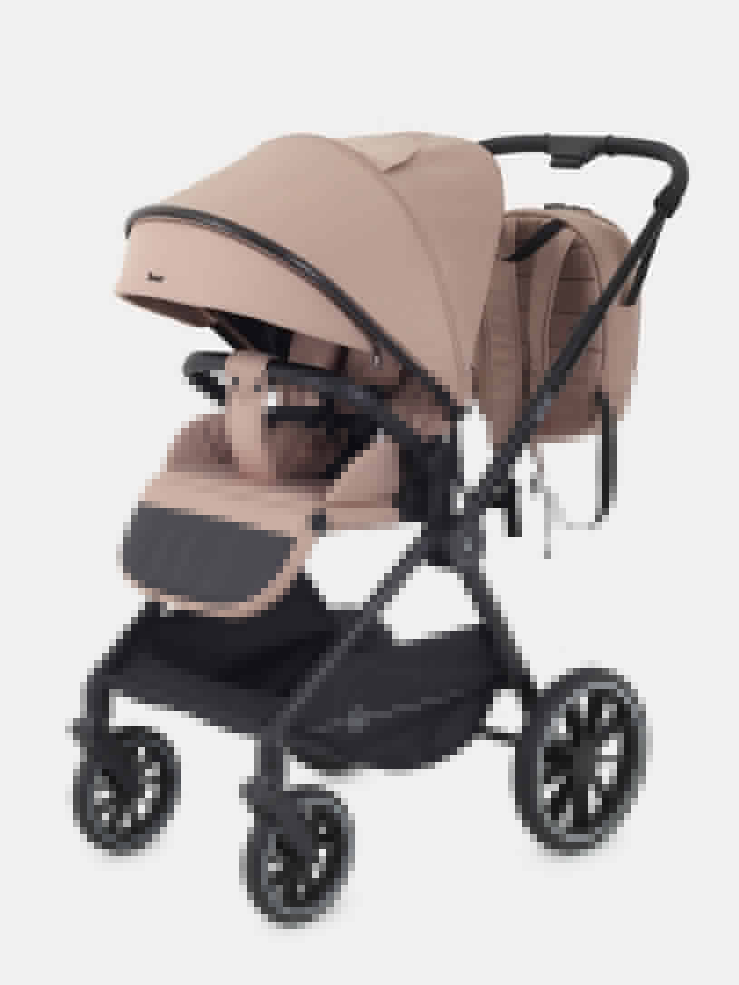 Коляска 2 в 1 Rant Moss Midnight black