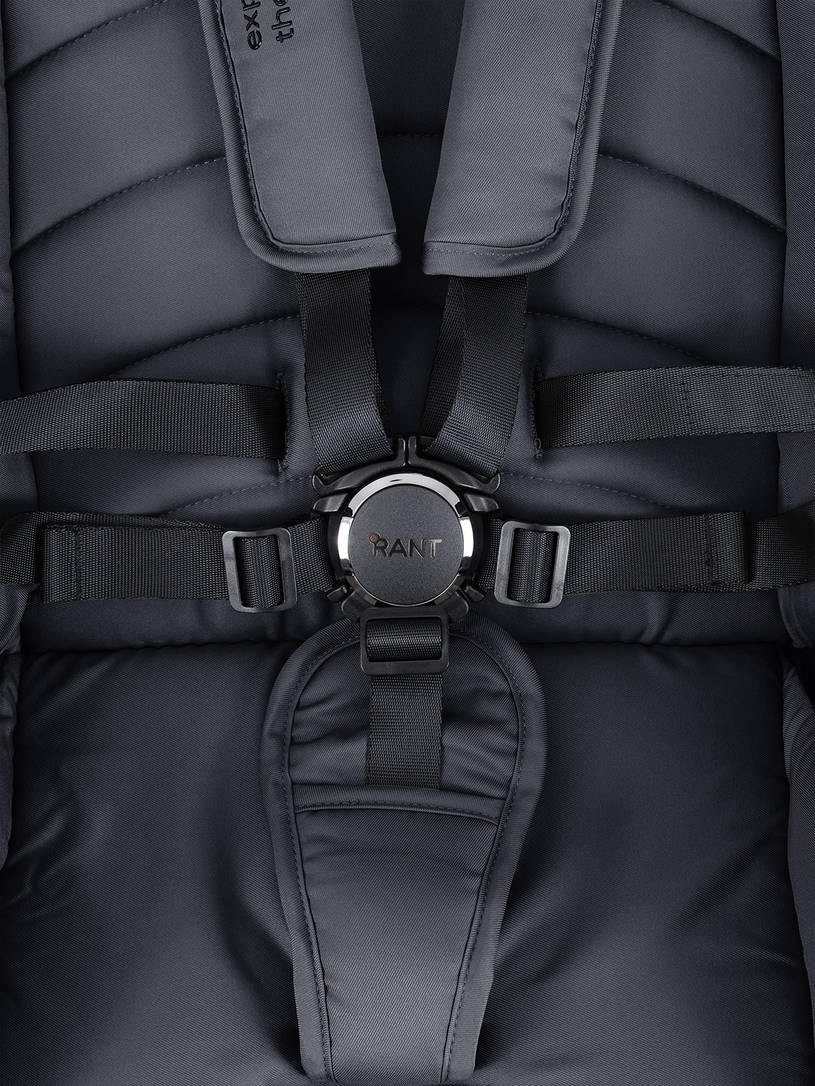 Коляска 2 в 1 Rant Falcon Therm Graphite