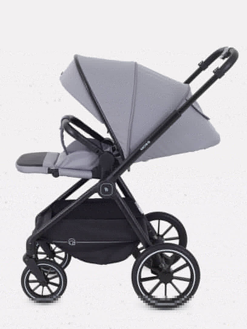 Коляска 2 в 1 Rant Moss Sage green