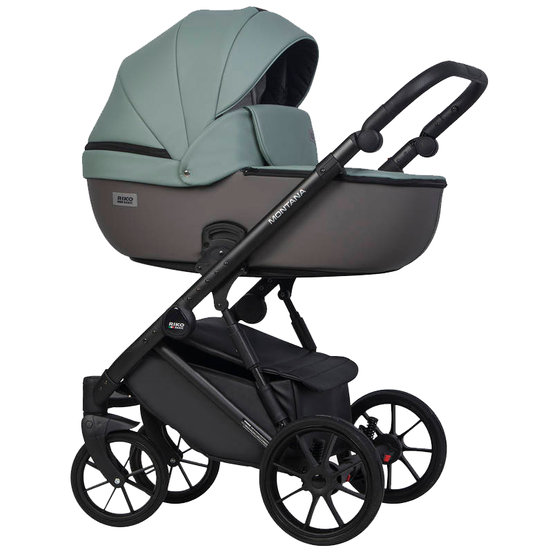 Коляска 2 в 1 Riko Basic Montana Ecco 31 Light Silver-Black