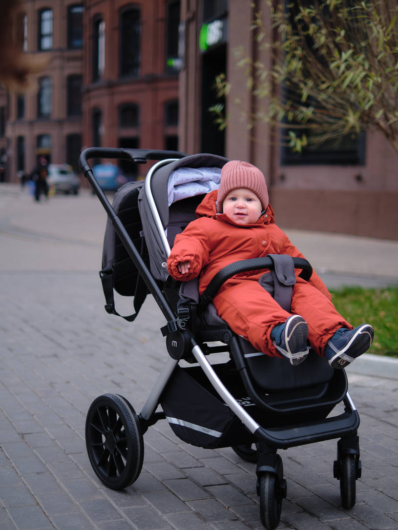 Коляска 2 в 1 Mowbaby Tilda Carbon
