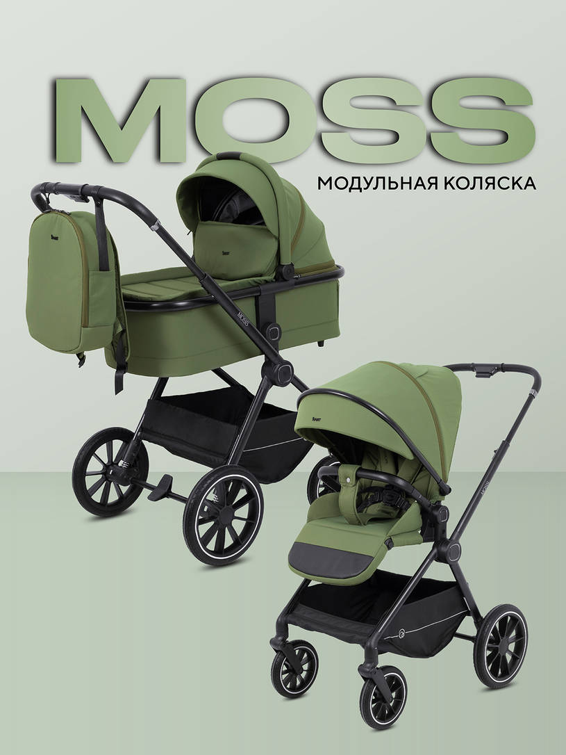 Коляска 2 в 1 Rant Moss 2025 Olive