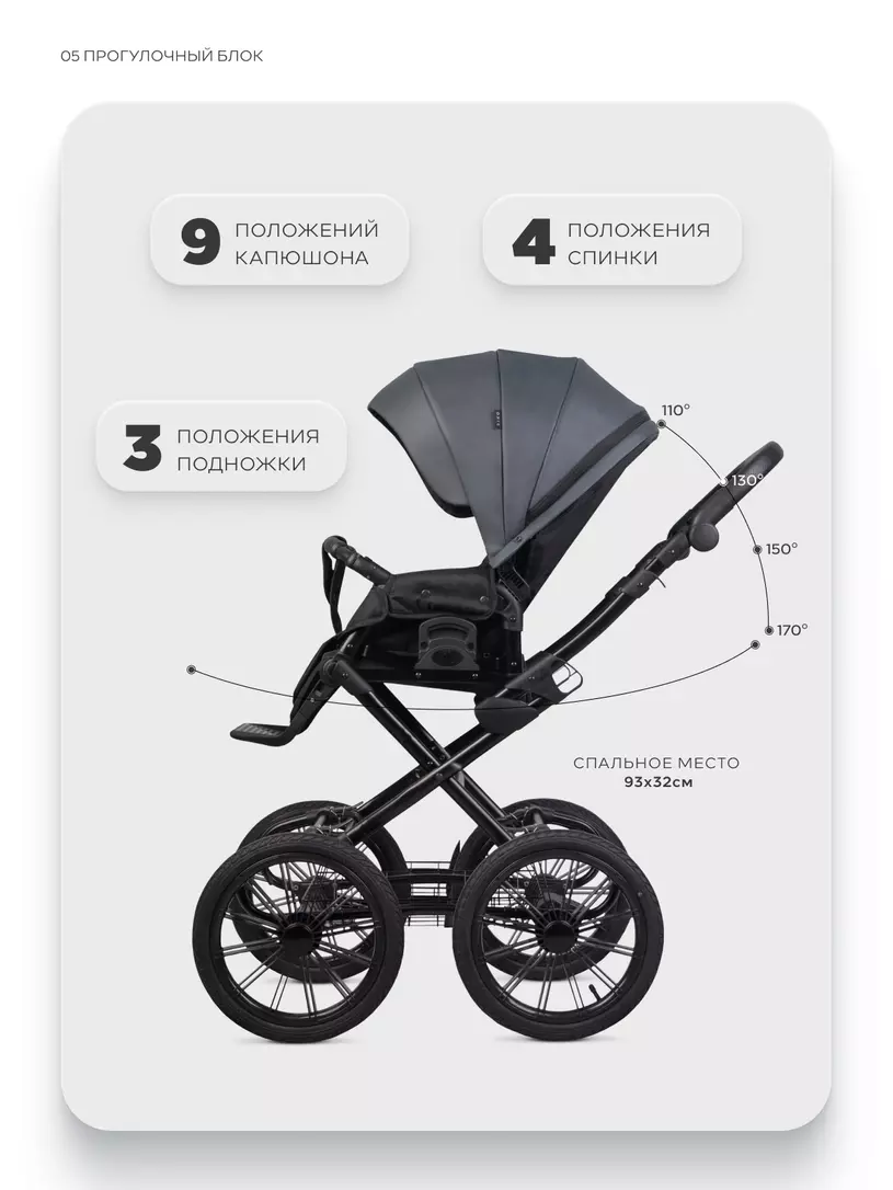 Коляска 2 в 1 Riko Basic Montana X Ecco Prestige 24 Graphite