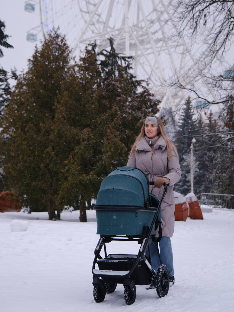 Коляска 2 в 1 Rant Axiom Green