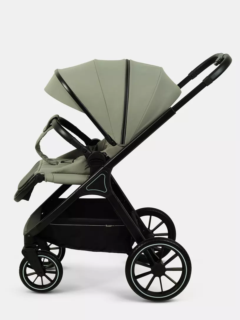Коляска 2 в 1 Rant Basic Terra Olive