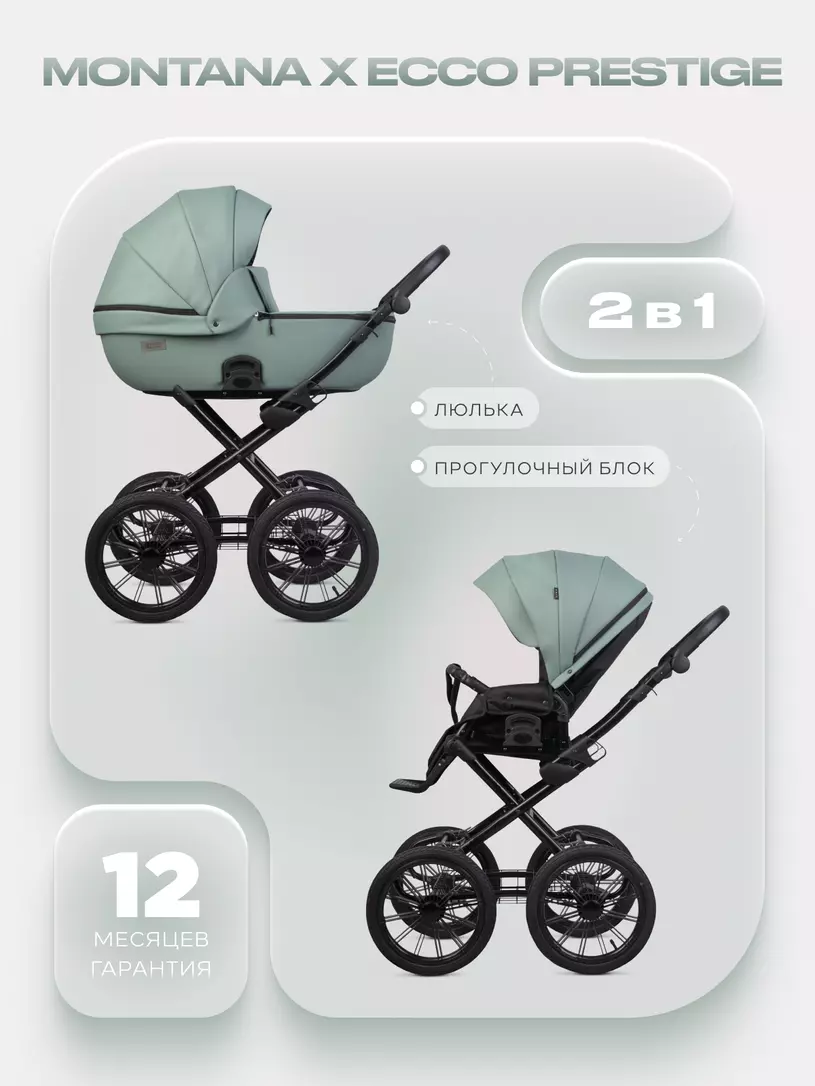 Коляска 2 в 1 Riko Basic Montana X Ecco Prestige 21 Green