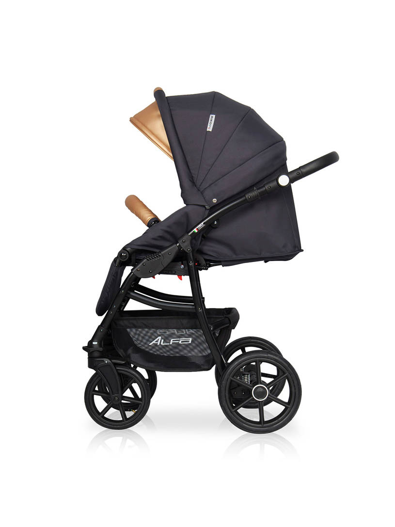 Коляска 2 в 1 Riko Basic Alfa Ecco 02 черно-золотистый
