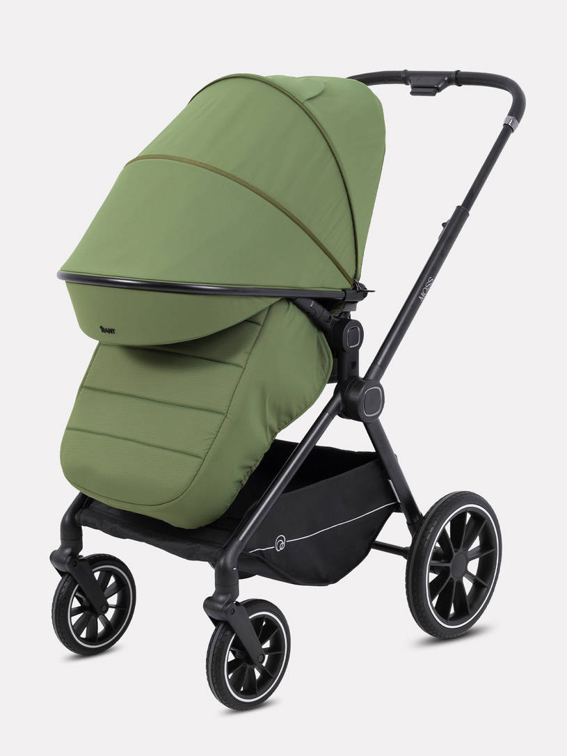 Коляска 2 в 1 Rant Moss 2025 Olive