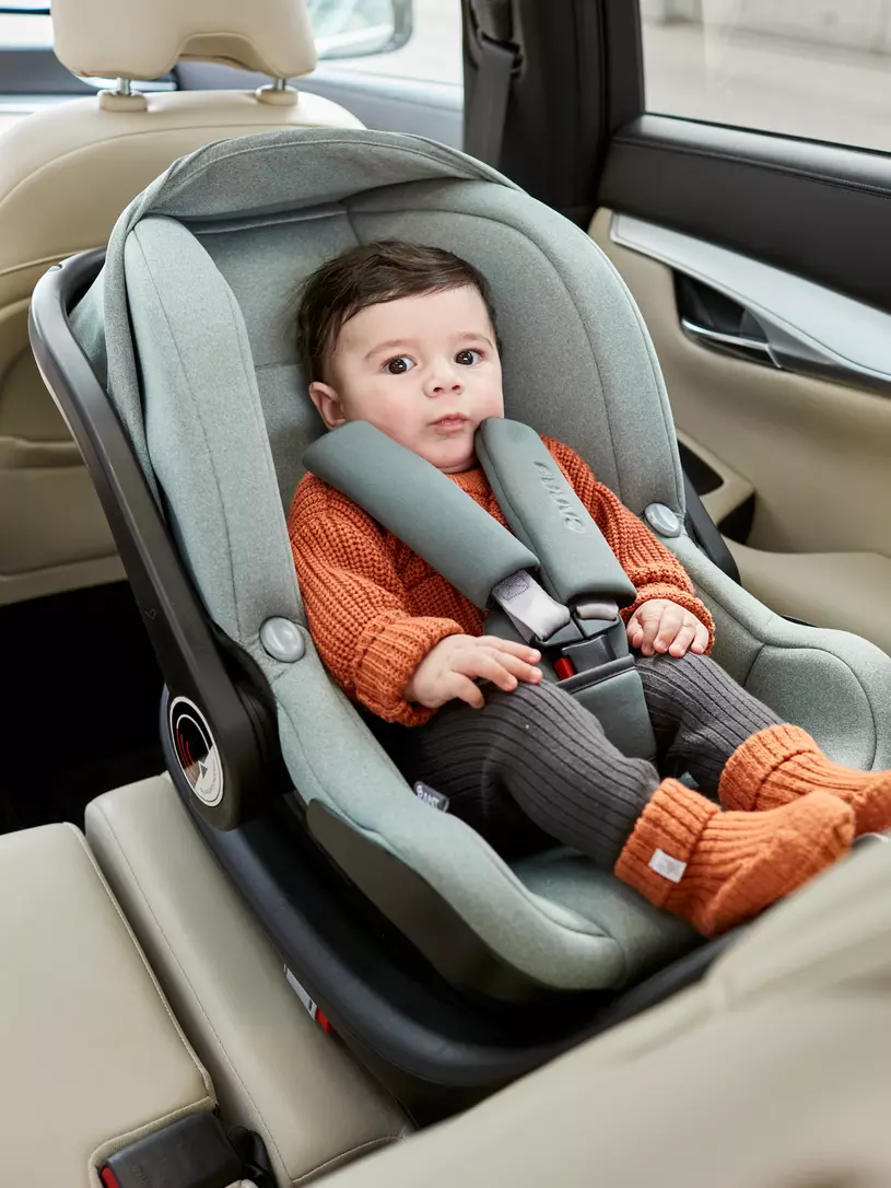 Автокресло Rant Carry Active Line 0+ (0-13 кг) Green