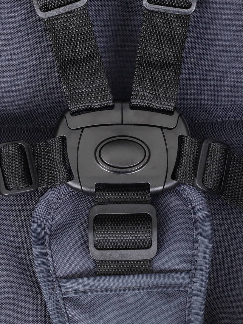 Коляска прогулочная Rant Basic Alpine Eva Green