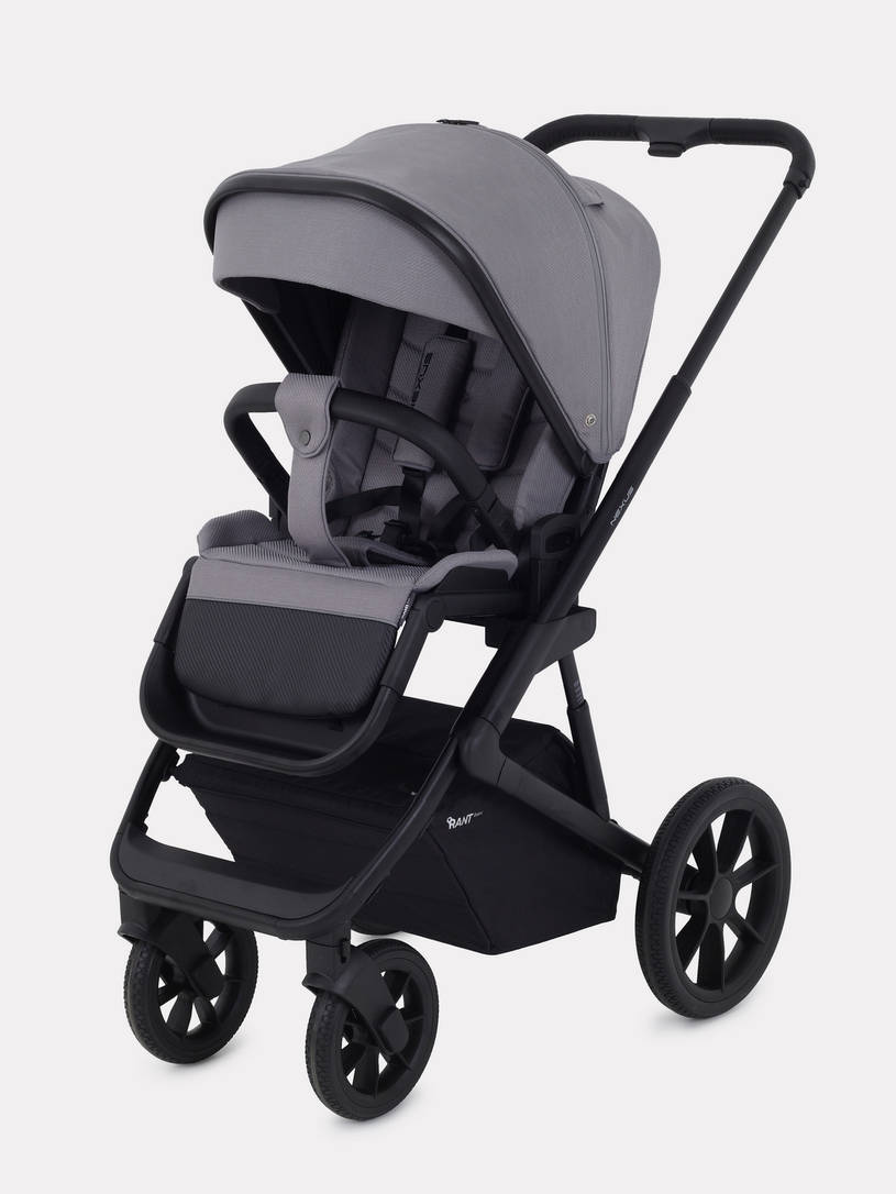 Коляска 2 в 1 Rant Basic Nexus Cloudburst