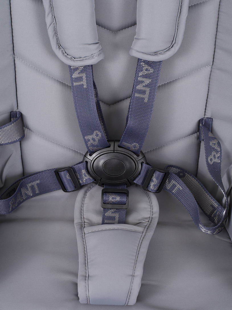 Коляска 2 в 1 Rant Flex 2025 RA076 Grey