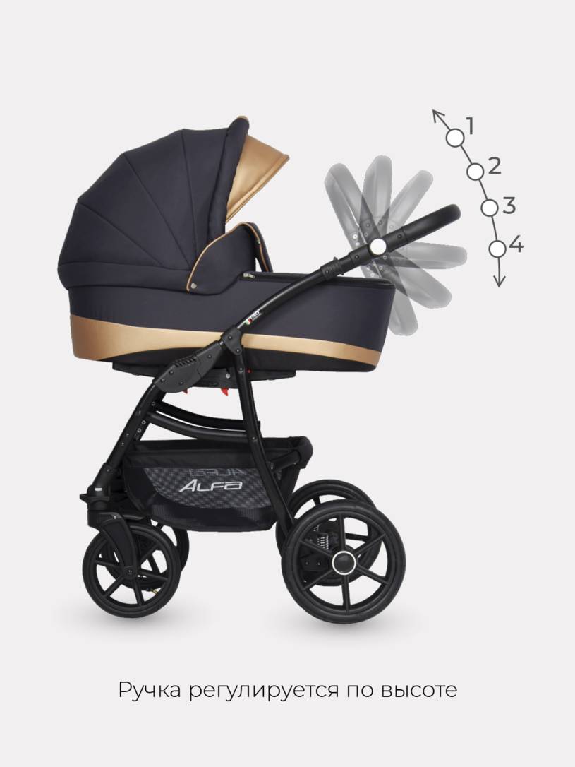 Коляска 2 в 1 Riko Basic Alfa Ecco 02 черно-золотистый