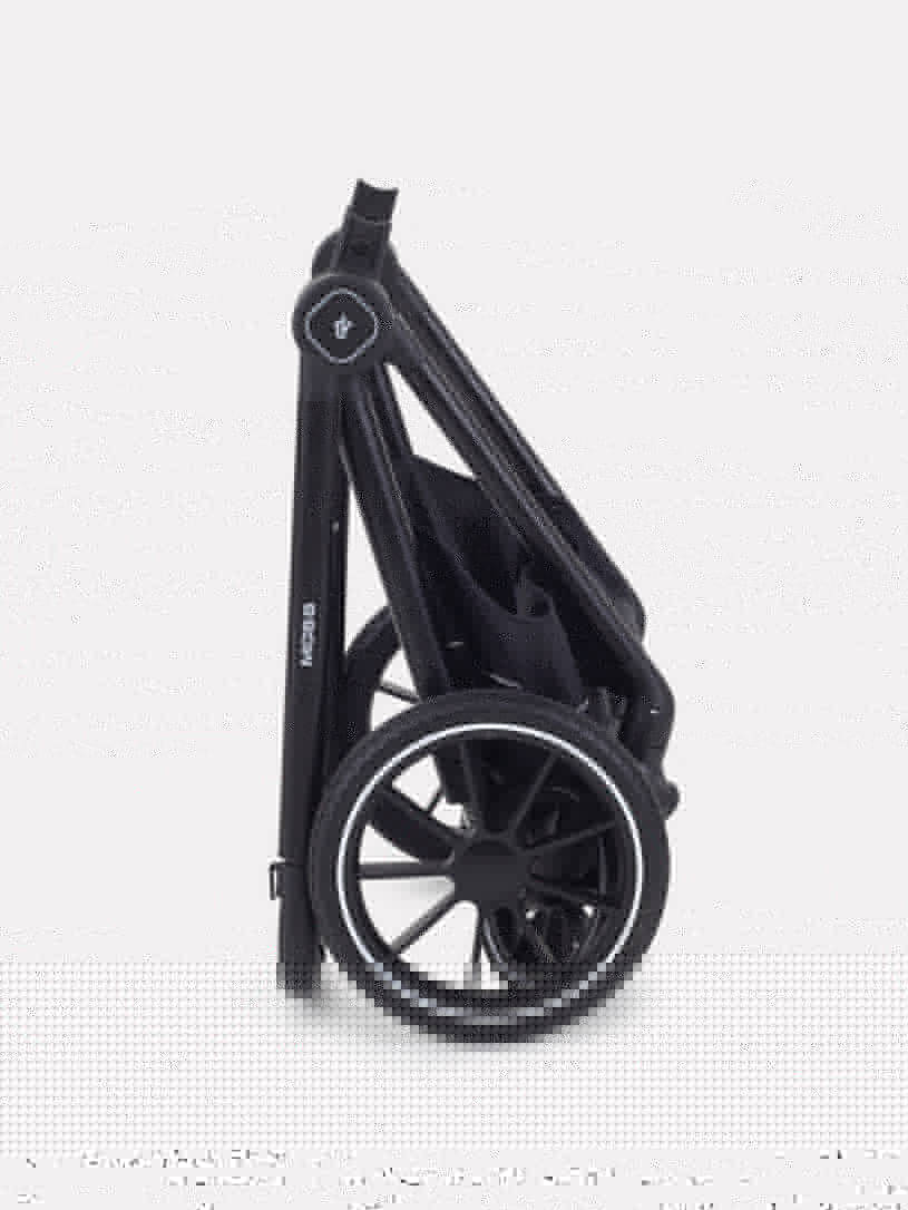 Коляска 2 в 1 Rant Moss Midnight black