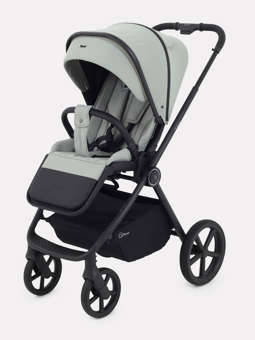 Коляска 2 в 1 Rant Teo Sage