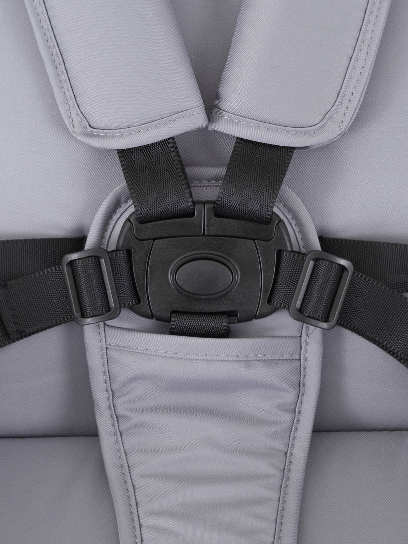 Коляска 2 в 1 Rant Moss Sage green