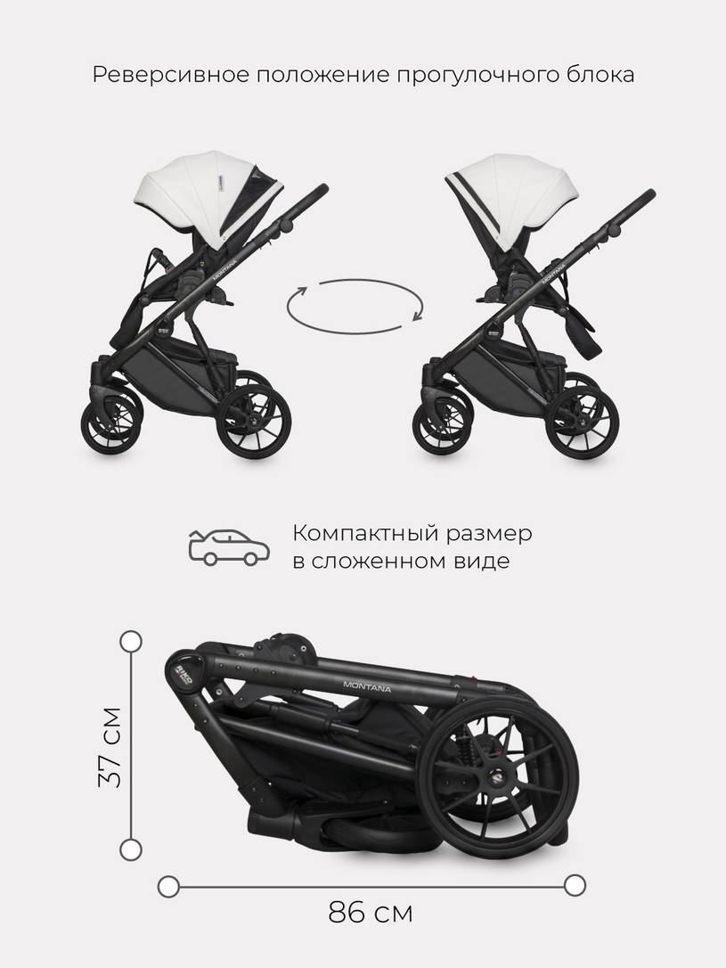 Коляска 2 в 1 Riko Basic Montana Ecco 11 white