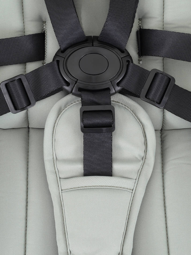 Коляска 2 в 1 Rant Falcon Neo Sage