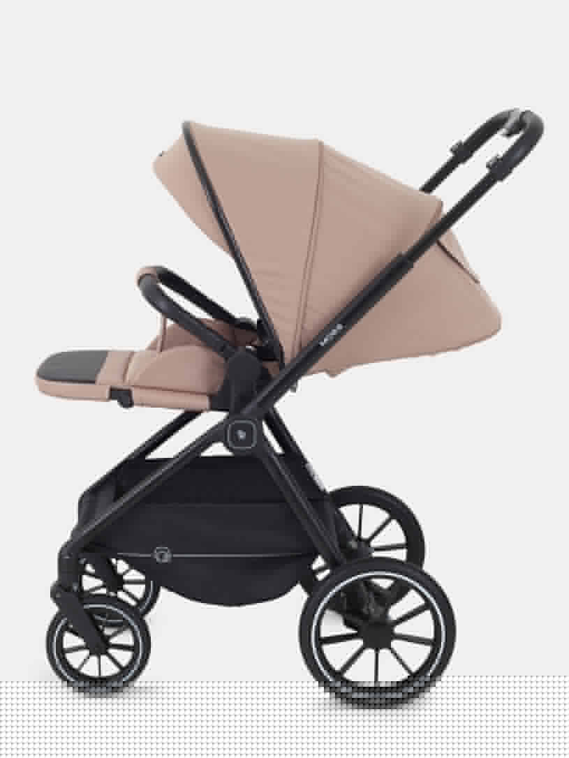 Коляска 2 в 1 Rant Moss Midnight black