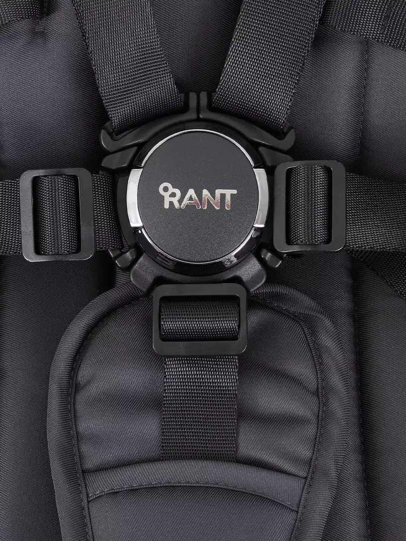 Коляска 2 в 1 Rant Teo Black Chrome Graphite