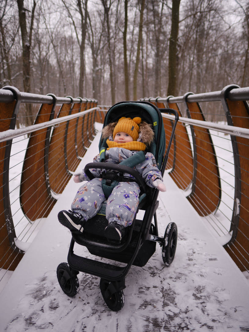 Коляска 2 в 1 Rant Axiom Green