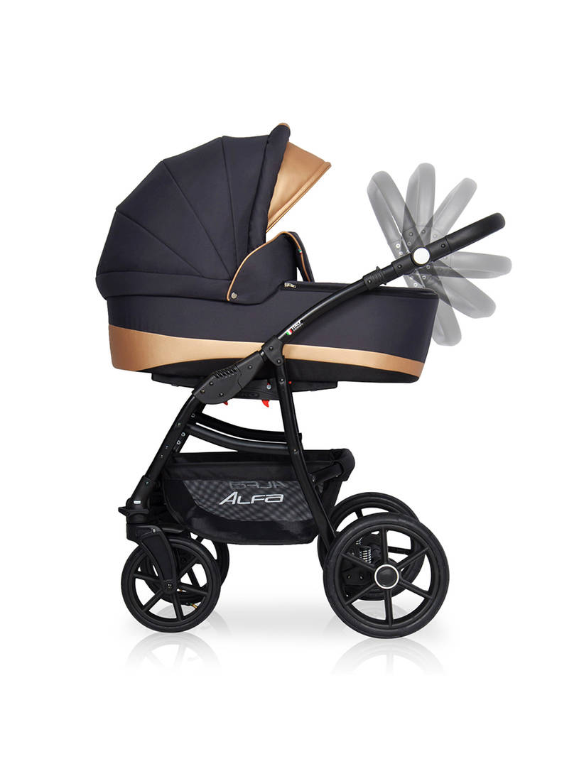 Коляска 2 в 1 Riko Basic Alfa Ecco 02 черно-золотистый