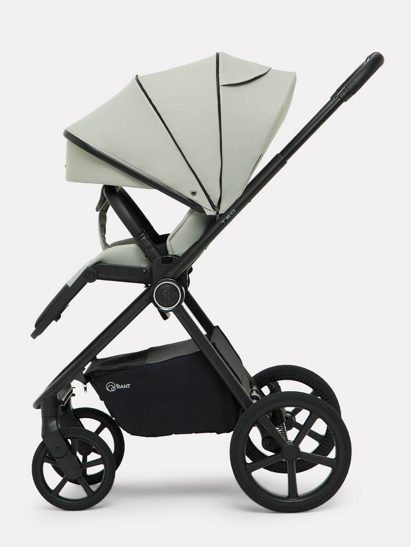 Коляска 2 в 1 Rant Teo Soft Sage
