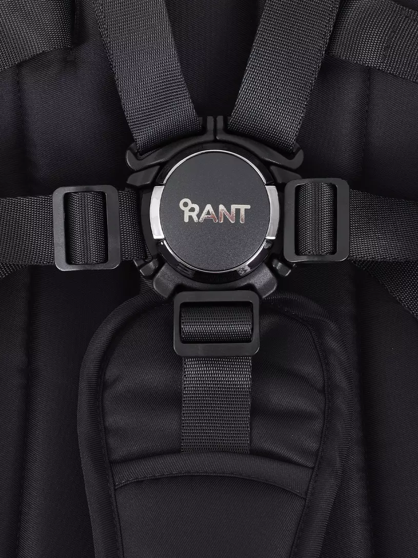 Коляска 2 в 1 Rant Teo Black Chrome Black