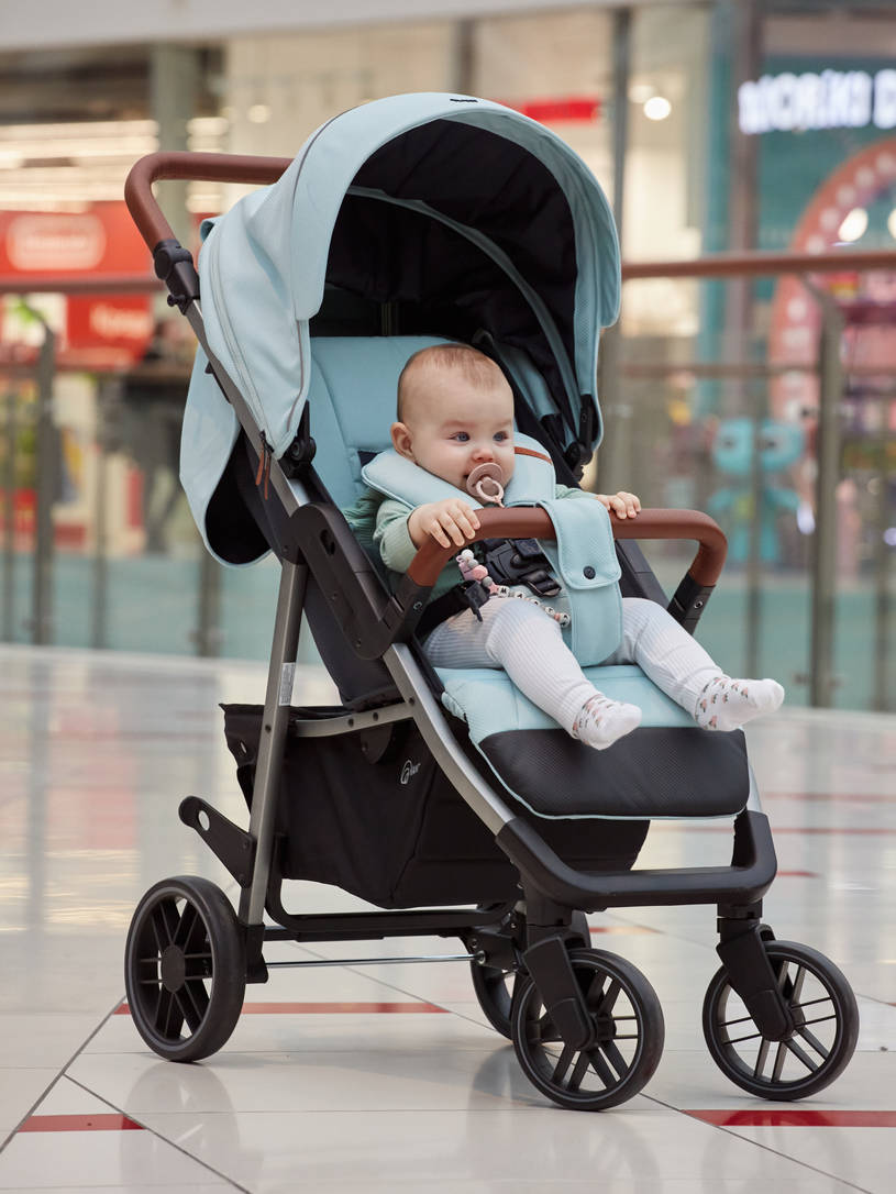 Коляска прогулочная Rant Vega 2023 Blue