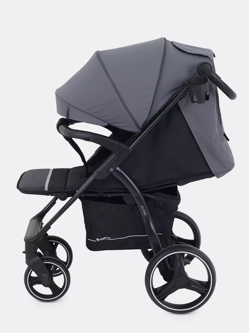 Коляска прогулочная Rant Basic Alpine 2025 Graphite