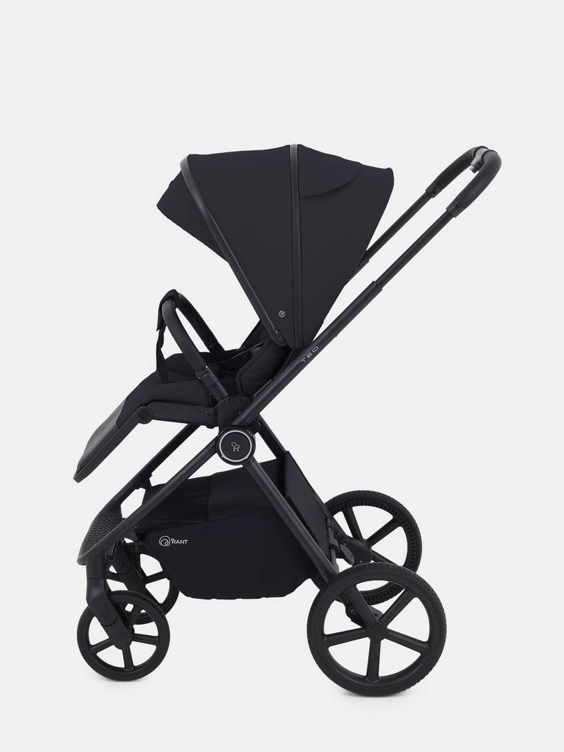 Коляска 2 в 1 Rant Teo Black