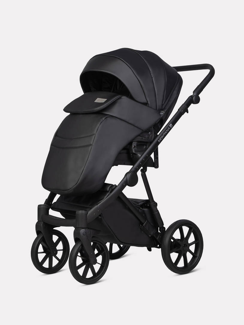 Коляска 3 в 1 Riko Basic Montana X Ecco 12 Black