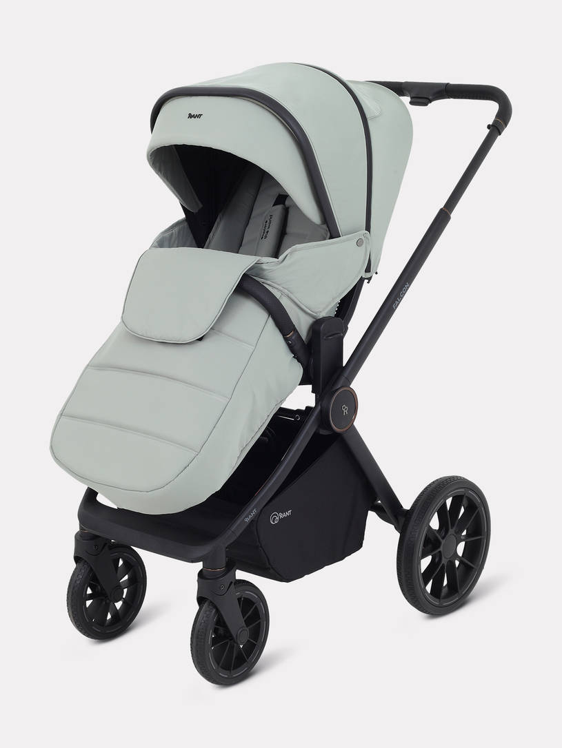 Коляска 2 в 1 Rant Falcon Neo Sage