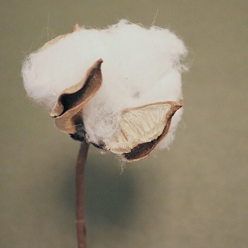 Коляска 3 в 1 Inglesina Electa Element с подставкой под люльку Stand Up, Pure Ecru