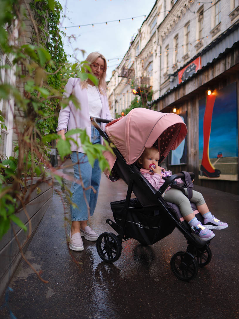 Коляска прогулочная Rant Vega Star Cloud Pink. Цвет: Розовый