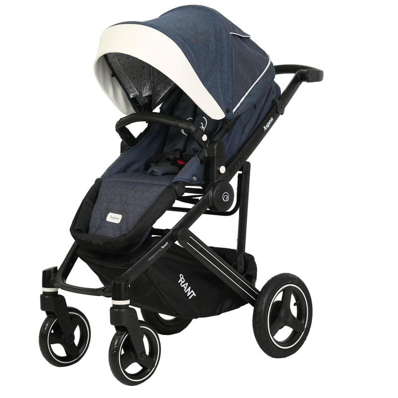 Коляска 2 в 1 Rant Aspen синий