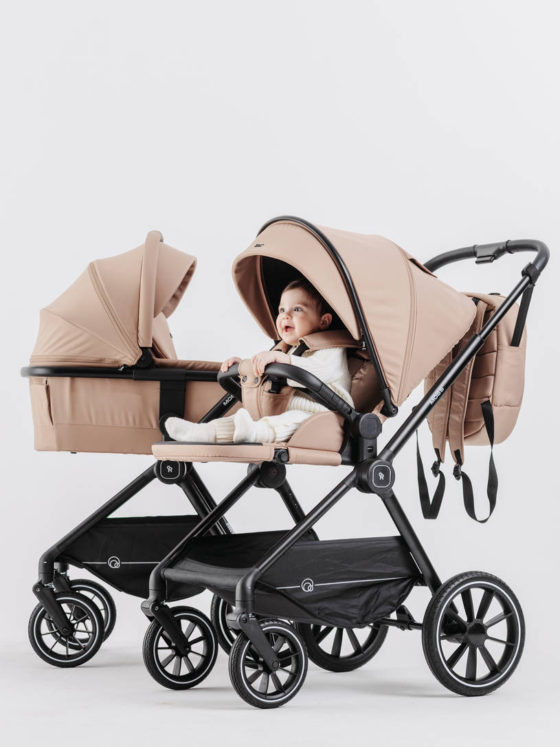 Коляска 2 в 1 Rant Moss Midnight black