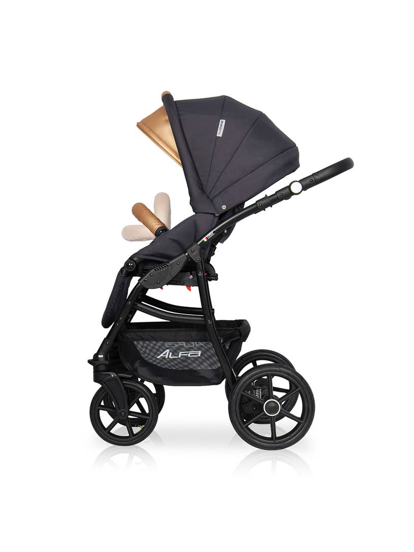 Коляска 2 в 1 Riko Basic Alfa Ecco 02 черно-золотистый
