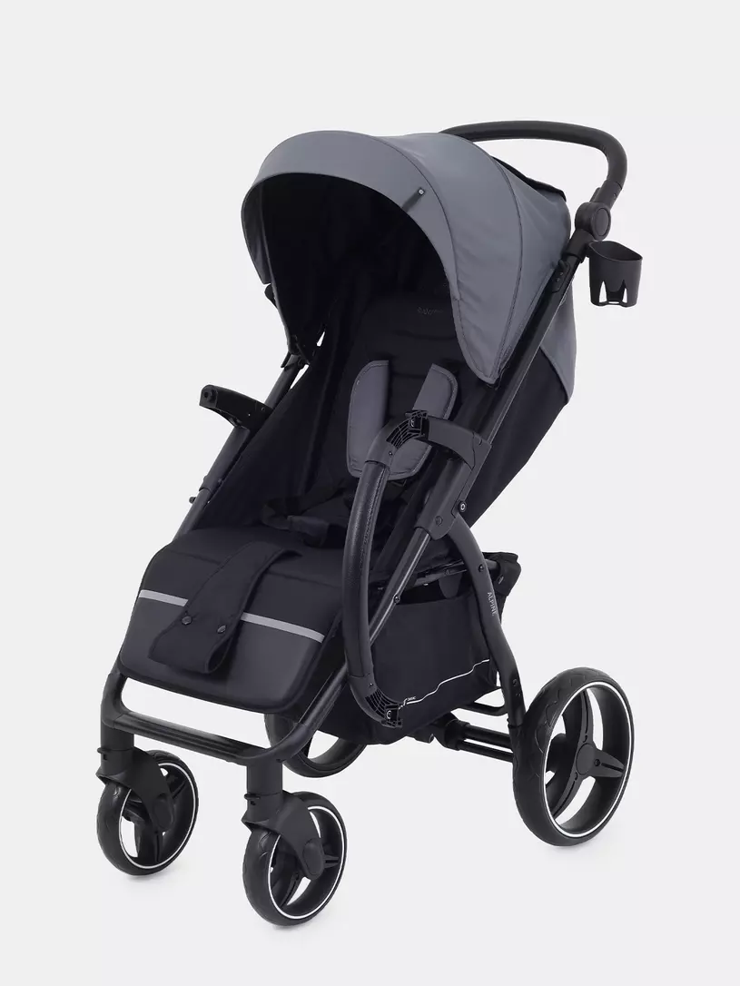 Коляска прогулочная Rant Basic Alpine 2025 Graphite