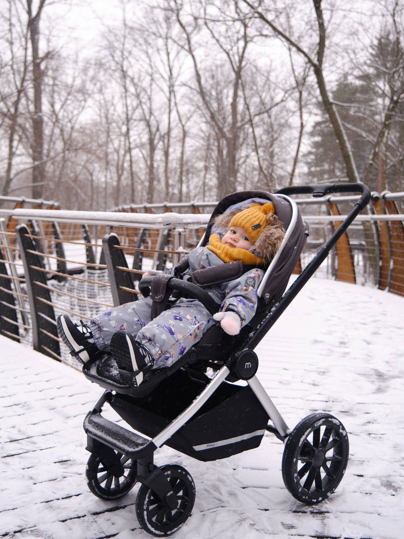 Коляска 3 в 1 Mowbaby Tilda Carbon