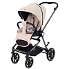 Коляски прогулочные Rant Atletic