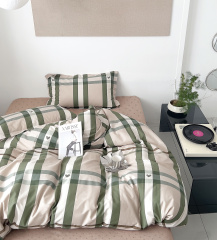 Twill евро 2 наволочки в ПВХ TPIG3-1976 КОД1171