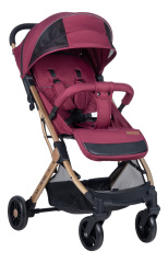 Коляска детская прогулочная Farfello Comfy Go (Cherry/ Вишня (золото) CG-66)