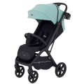 Коляска прогулочная Rant Lumos Sage green