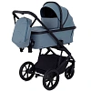 Коляска Rant Basic Nexus 2 в 1