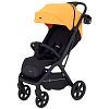 Коляски прогулочные Rant Lumos