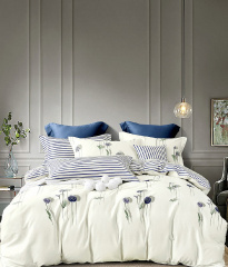 Twill евро 4 наволочки TPIG6-1037 КОД1038